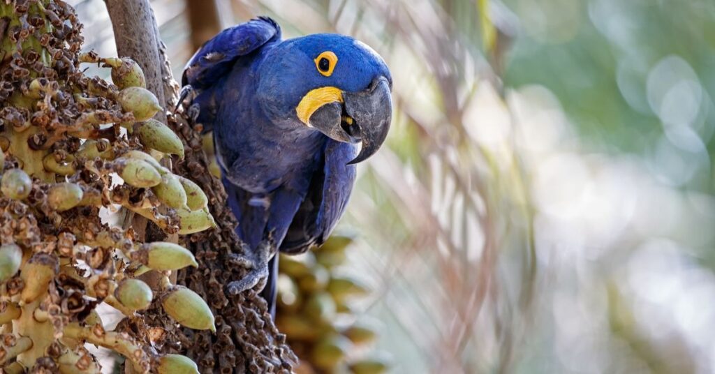 Colors and Their Meanings